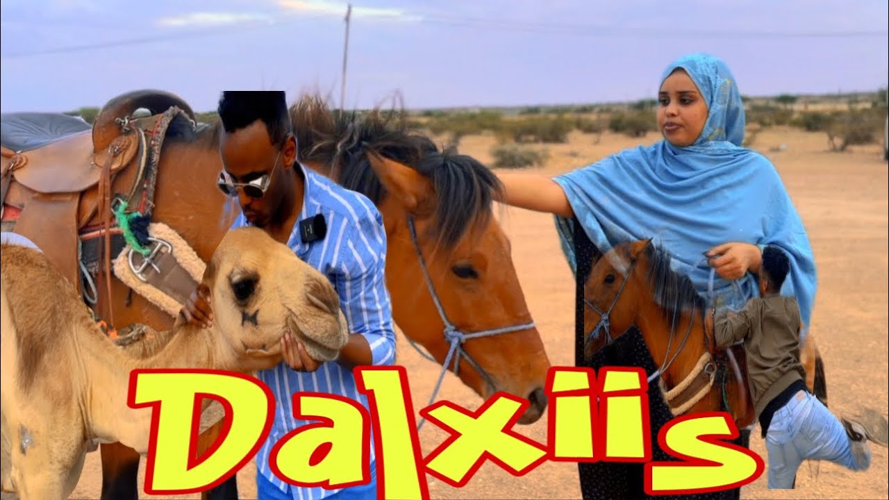 VLOG GII UGU QOSOLKA BADNAA KASHKA IYO ABDLLA JAMAL OO KU TARTAMAY IN AAY KA HOOS BAXAAN GEELKA😂