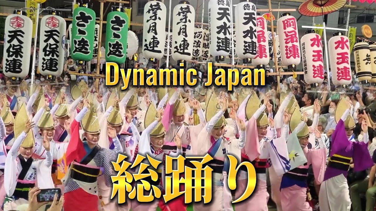 【Japan's the most popular Festival 】「阿波おどり振興協会総踊り」五年ぶりとなりました！#阿波踊り #阿波おどり #阿波舞 #japan #japanese