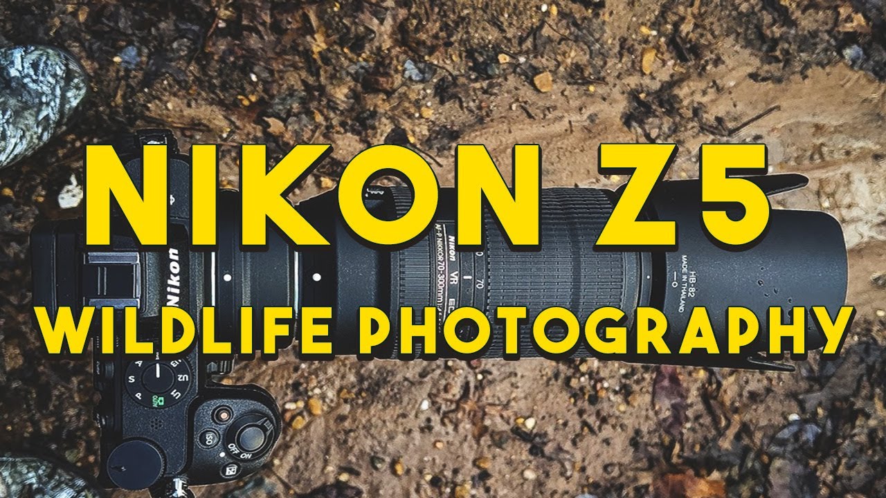 2021 Nikon Z5 for Wildlife Photography