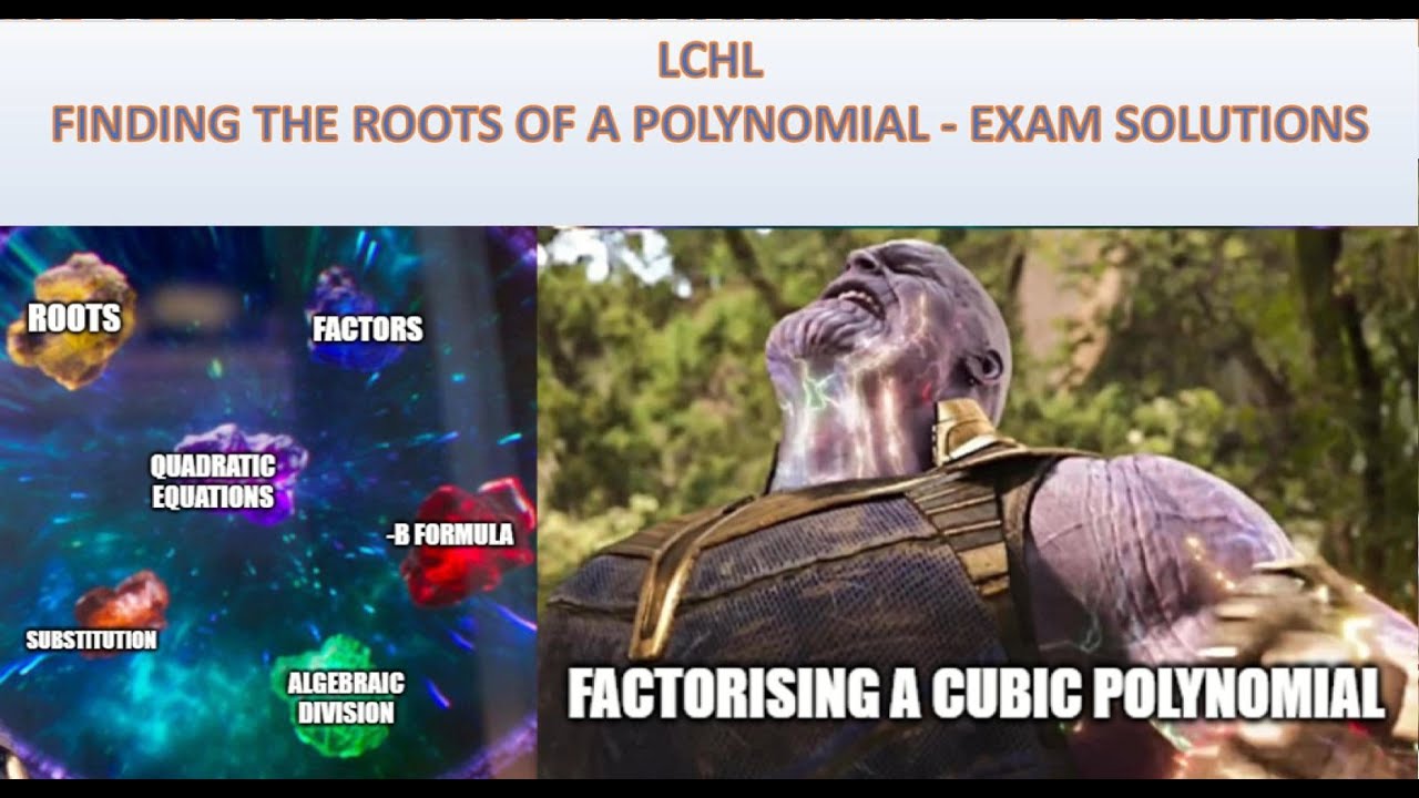 LCHL - Finding the Roots of a Polynomial - Exam Solutions