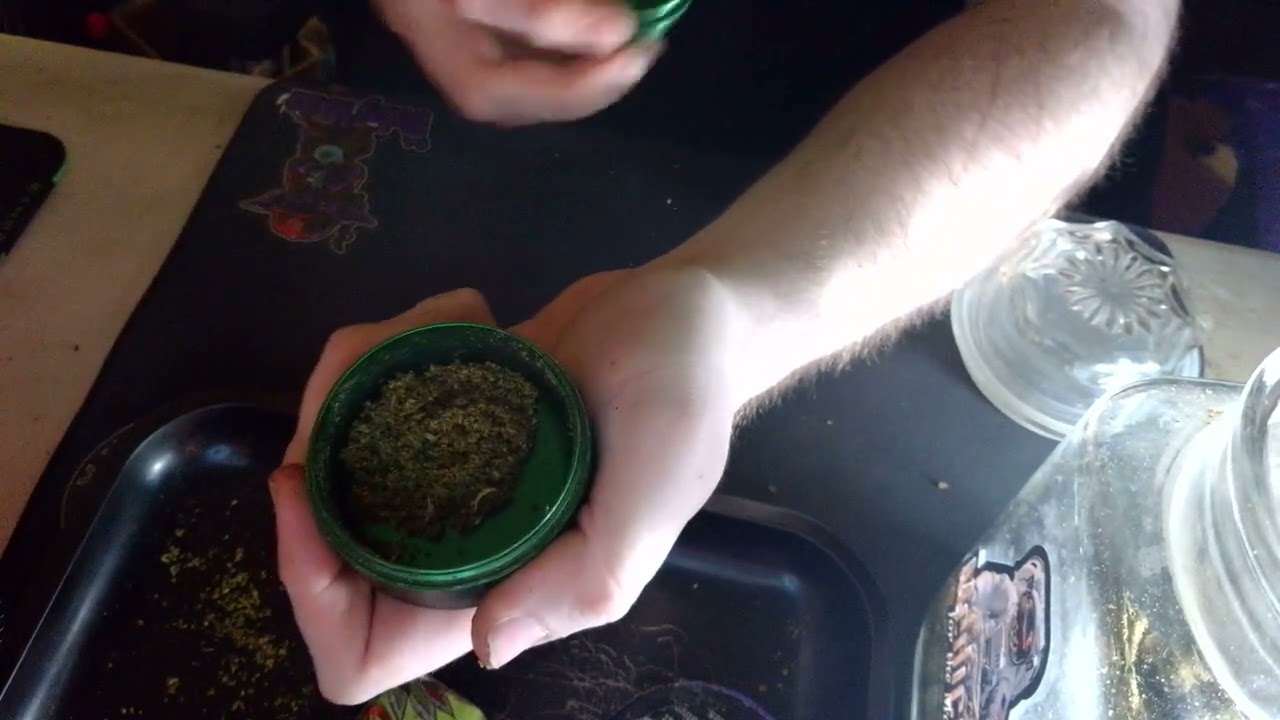 Santa Cruz Shredder Review! #420 #herblife