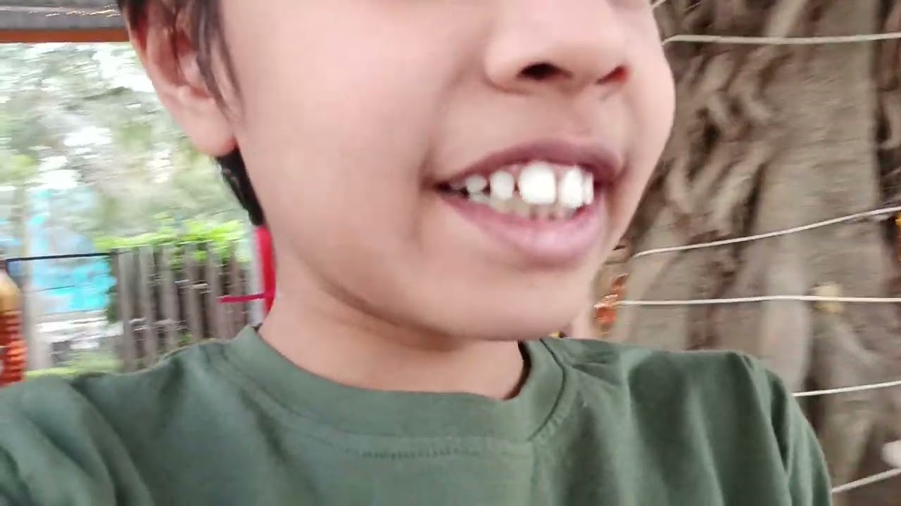 Shivratri 2026 Mandir decoration and musical program #music #decoration #trending 