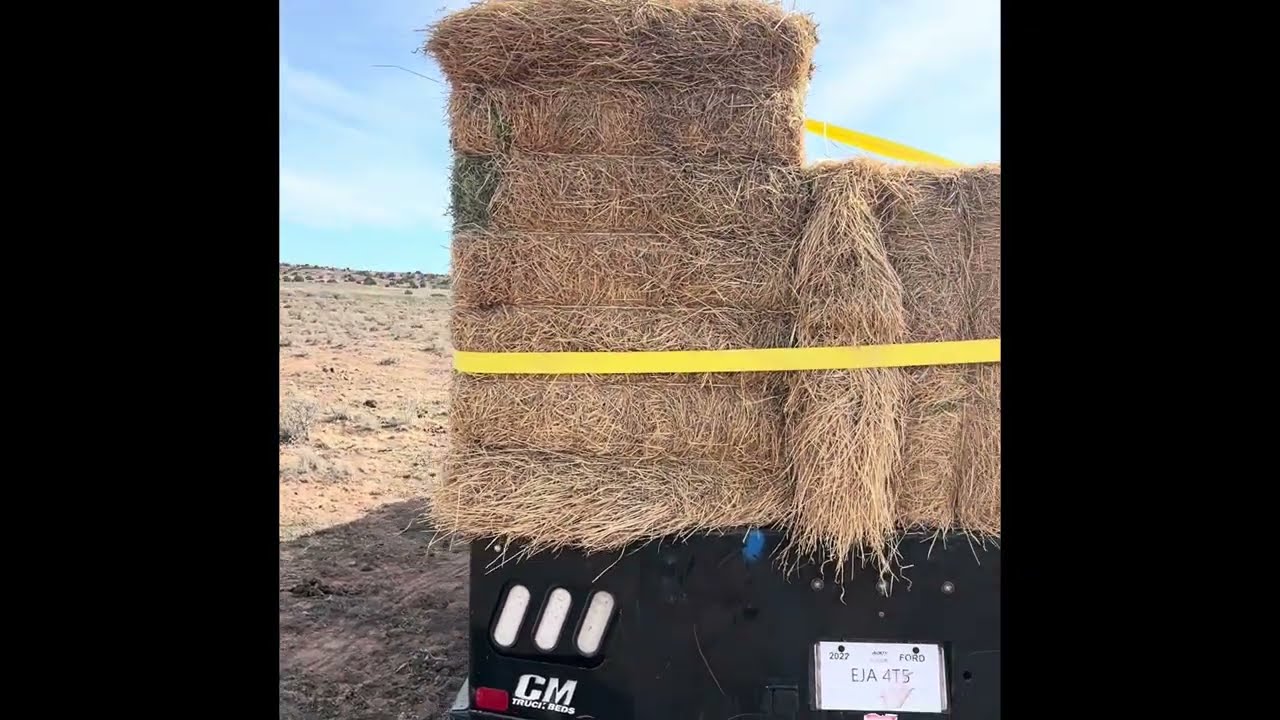 Feeding Big Bales 