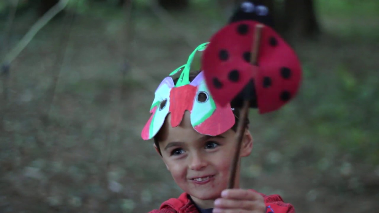 Culture Night Galway Rise of the Insects in Merlin Woods