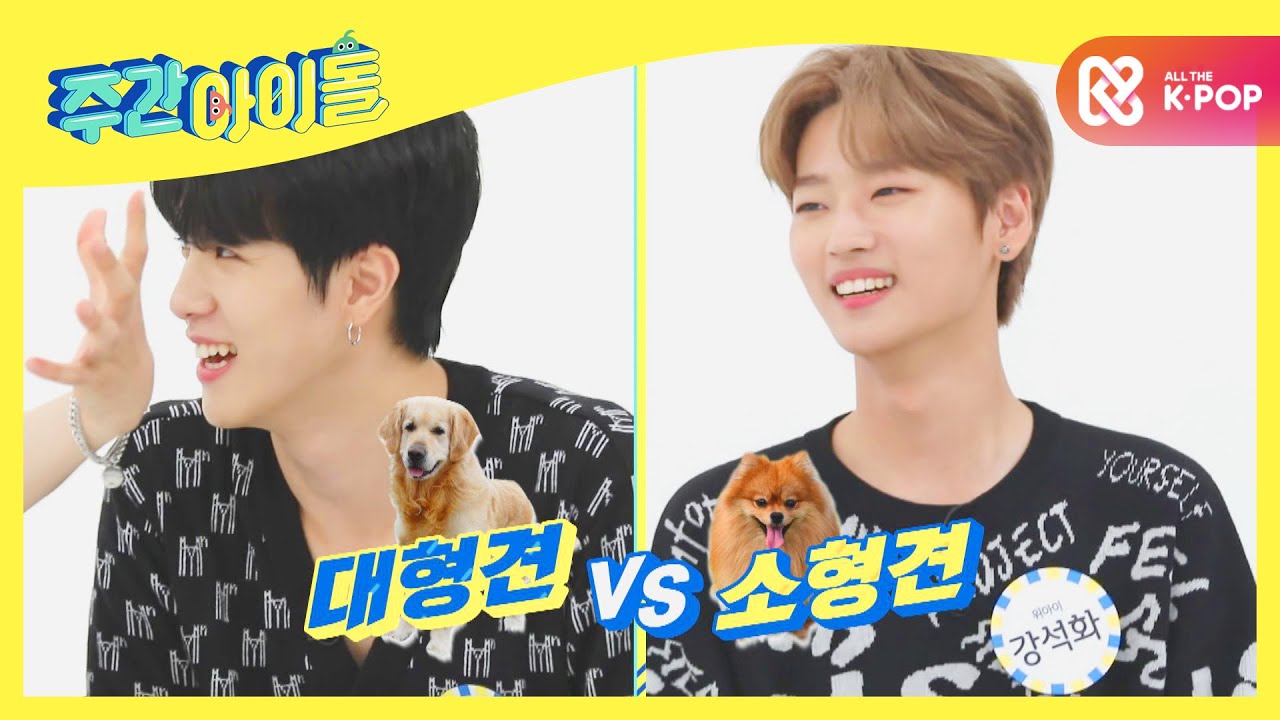 [Weekly Idol] 위아이 요한의 방을 떠나지 않는 애교 멍뭉이들 ♡(๑′ᴗ‵๑)♡ l EP.481 (ENG/CHN)