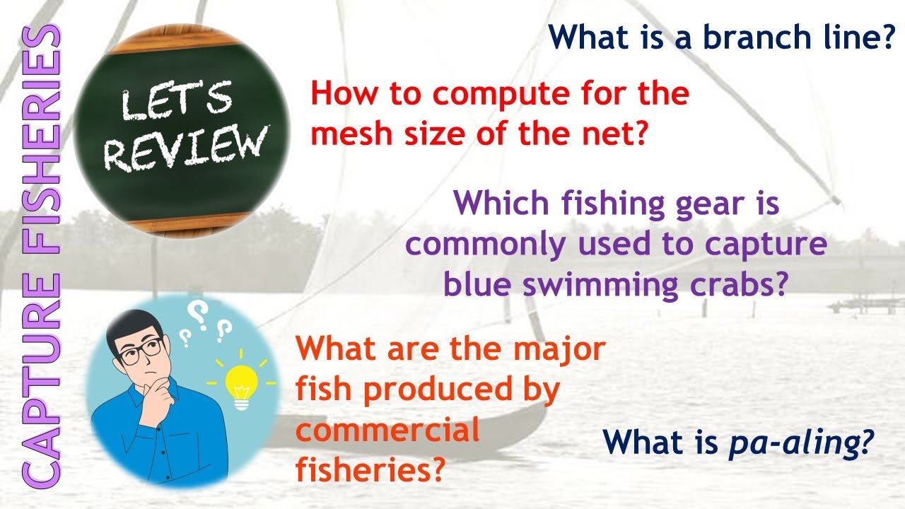[Q191-210] REVIEW QUESTIONS AND ANSWERS IN CAPTURE FISHERIES 3
