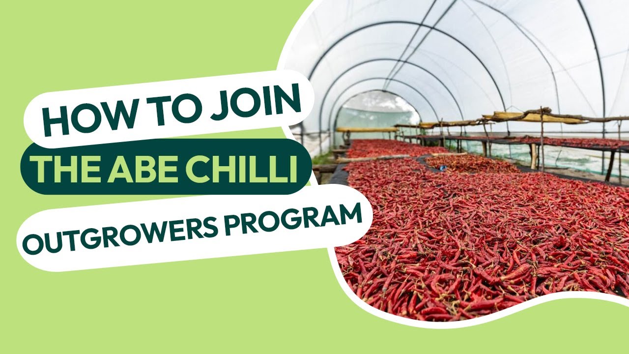 HOW TO JOIN THE ABE CHILLI OUTGROWERS PROGRAM