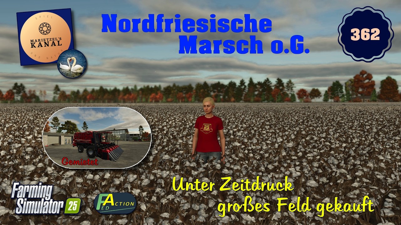 LS 25  Nordfriesische Marsch o.G.  - 362 - Unter Zeitdruck großes Feld gekauft