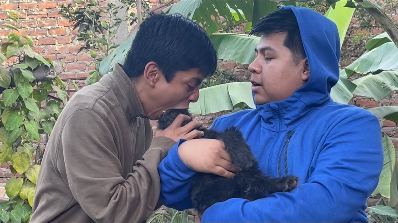 Mowgli se come al perro | Chacra Talks