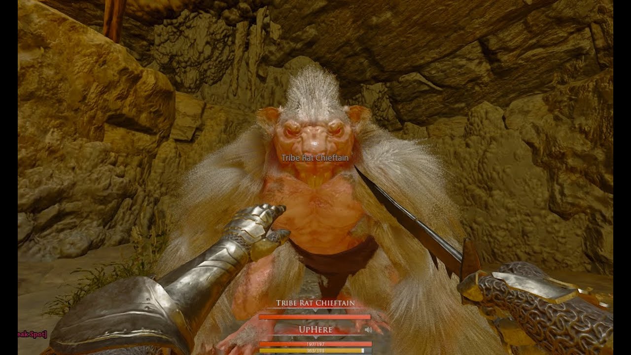 Dagger Enjoyer has thrust as default attack [Mortal Online 2 PVP]