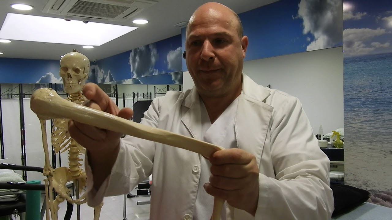 Nº83 Primera Parte  Que Es Proximal, Medial Y Distal.