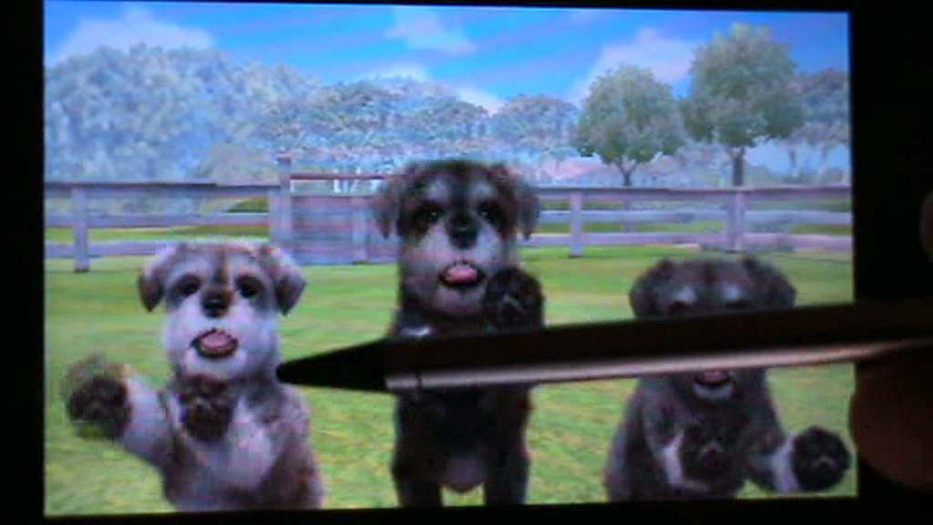nintendogs + cats special race les snauzer nain