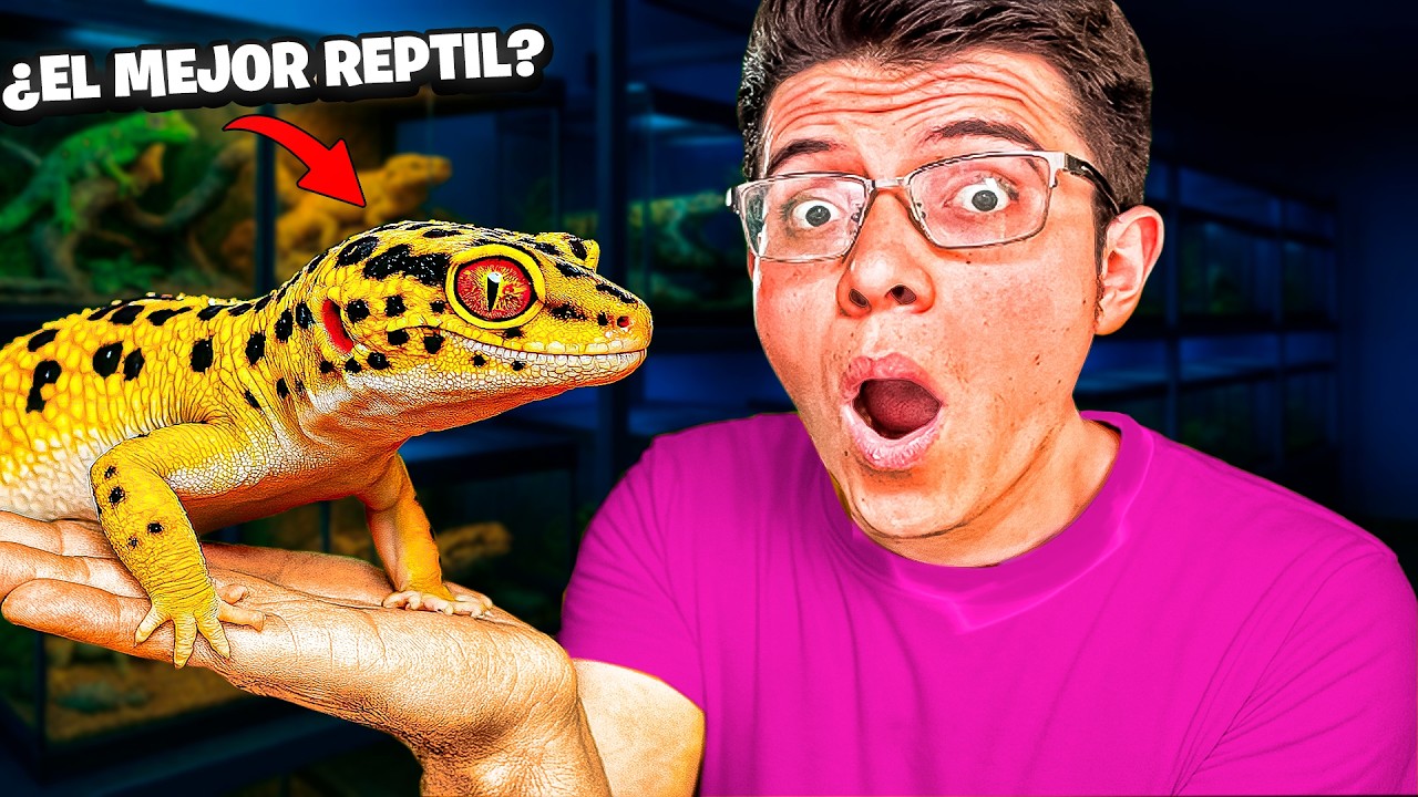 GECKO LEOPARDO: El Reptil MÁS IMPRESIONANTE del Mundo 🧬🐆 (Y lo que NADIE te dice)