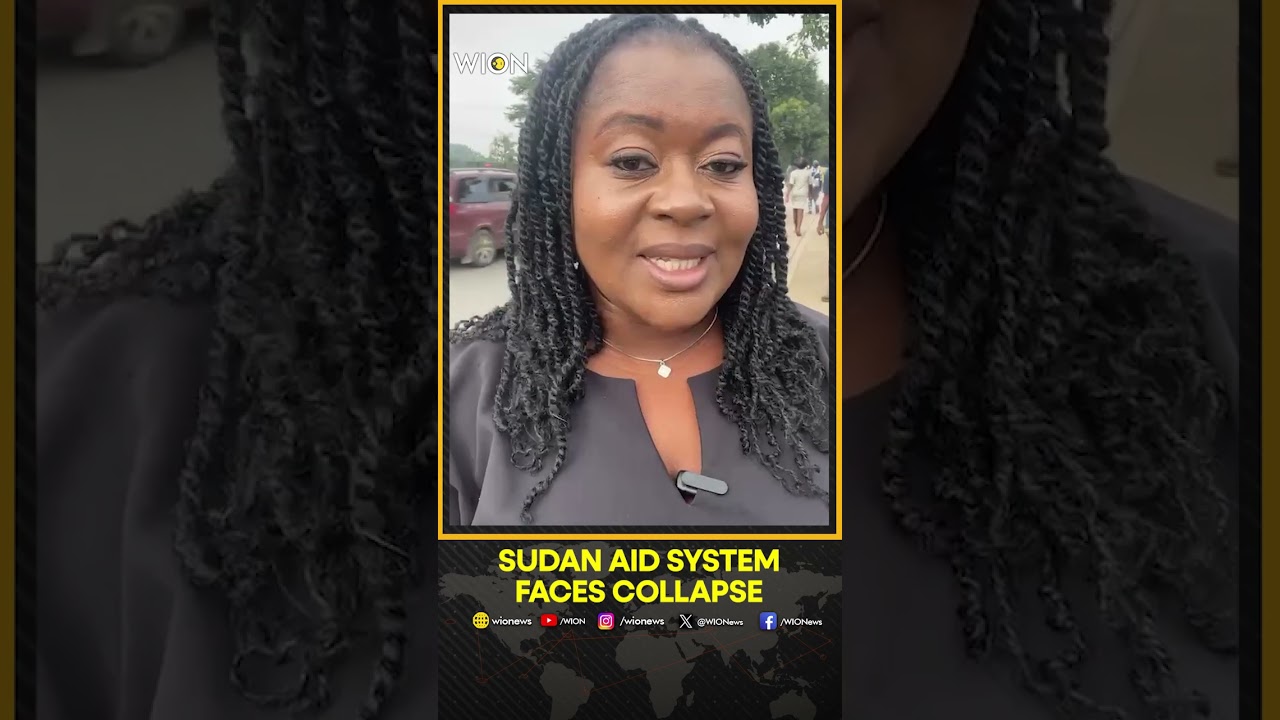 UN Warns Sudan Aid System Could Collapse Within Weeks | WION Shorts