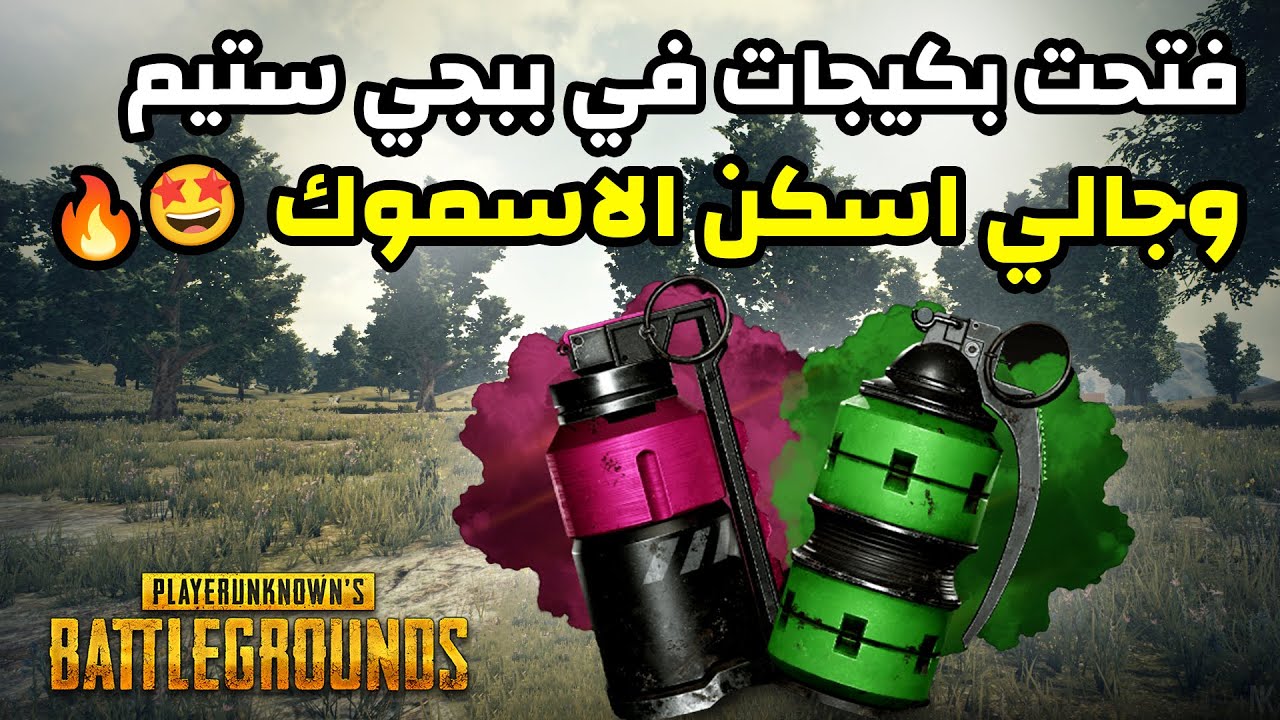 فتحنا بكيجات في ببجي ستيم .. وجالي سكن الاسموك🔥😱