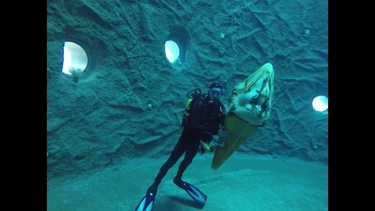Diveworld Enschede