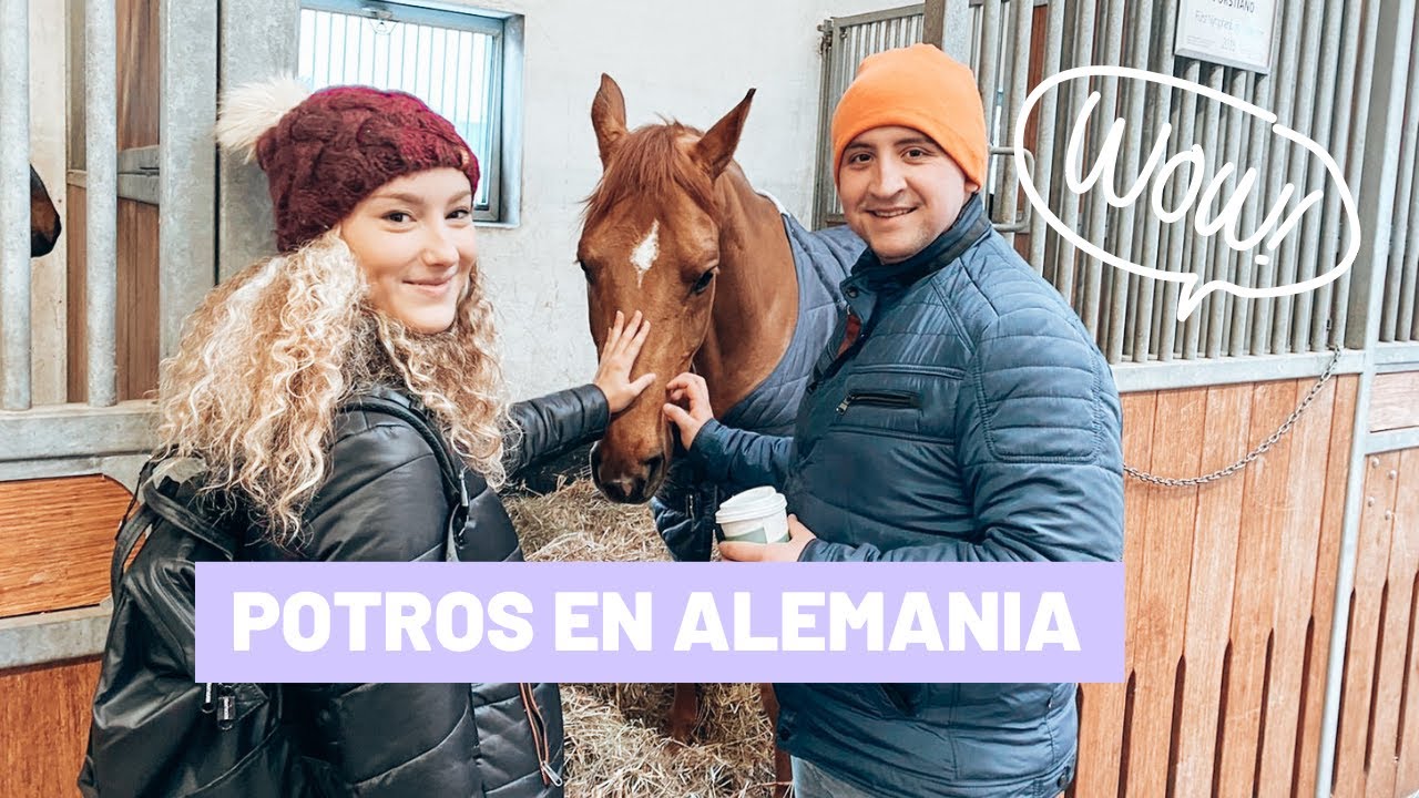 Vlog / Probando potros en una subasta de alemania / Parte 1