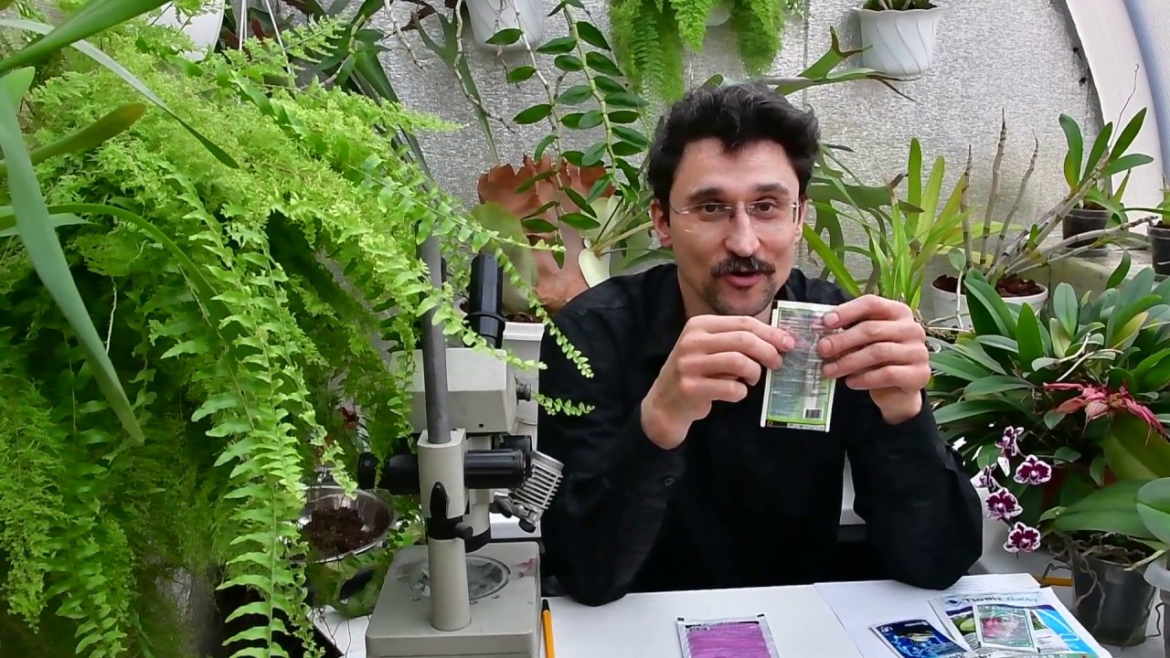 Кто ест мои растения? Защита растений от вредителей