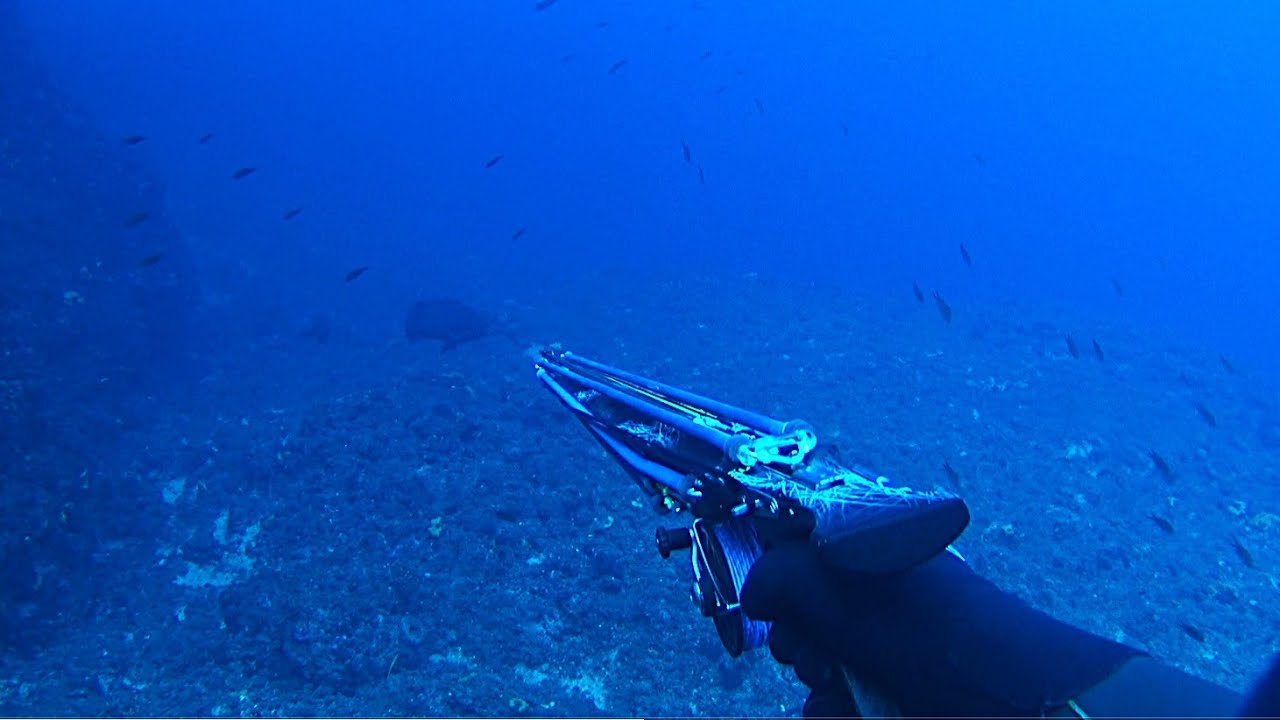 We Caught 3 BIG😲 Fish in 30 Minutes!A Day to Remember | Spearfishing the Aegean 🇬🇷 ✔