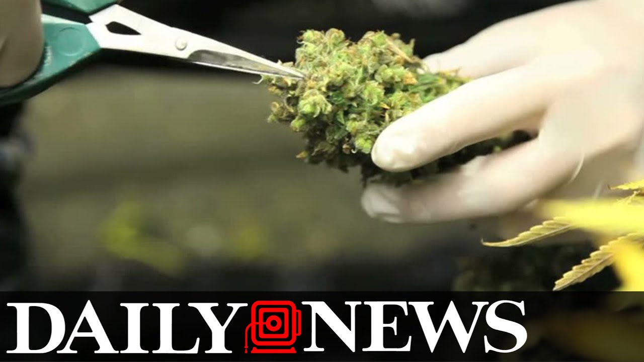 Bags, Jewelry and Clothing to Celebrate Your Marijuana Use