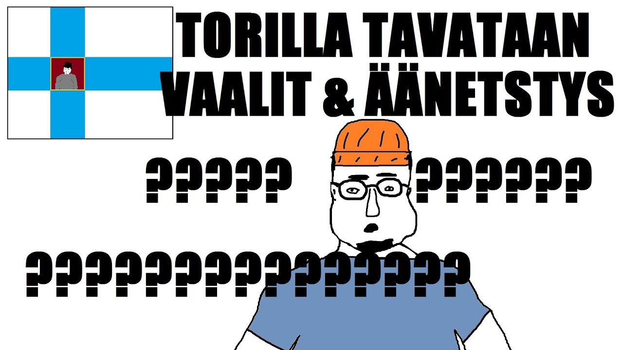 VAALIT JA &Auml;&Auml;NESTYS