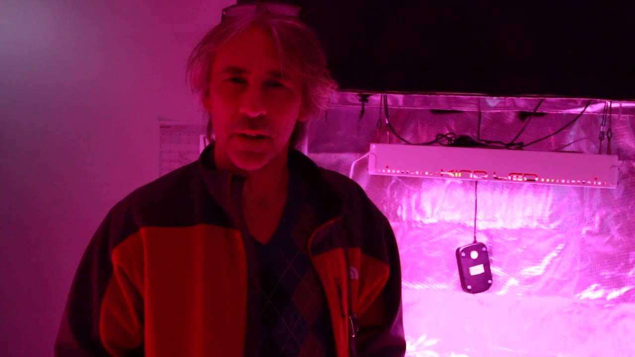 Capital Canna News Raw Cuts: Samson Paisley Interview