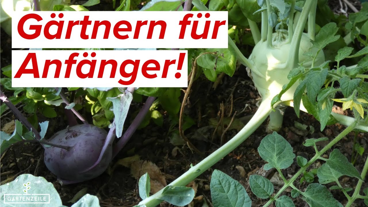 G&auml;rtnern f&uuml;r Anf&auml;nger | Das sollte jeder zum Start wissen!