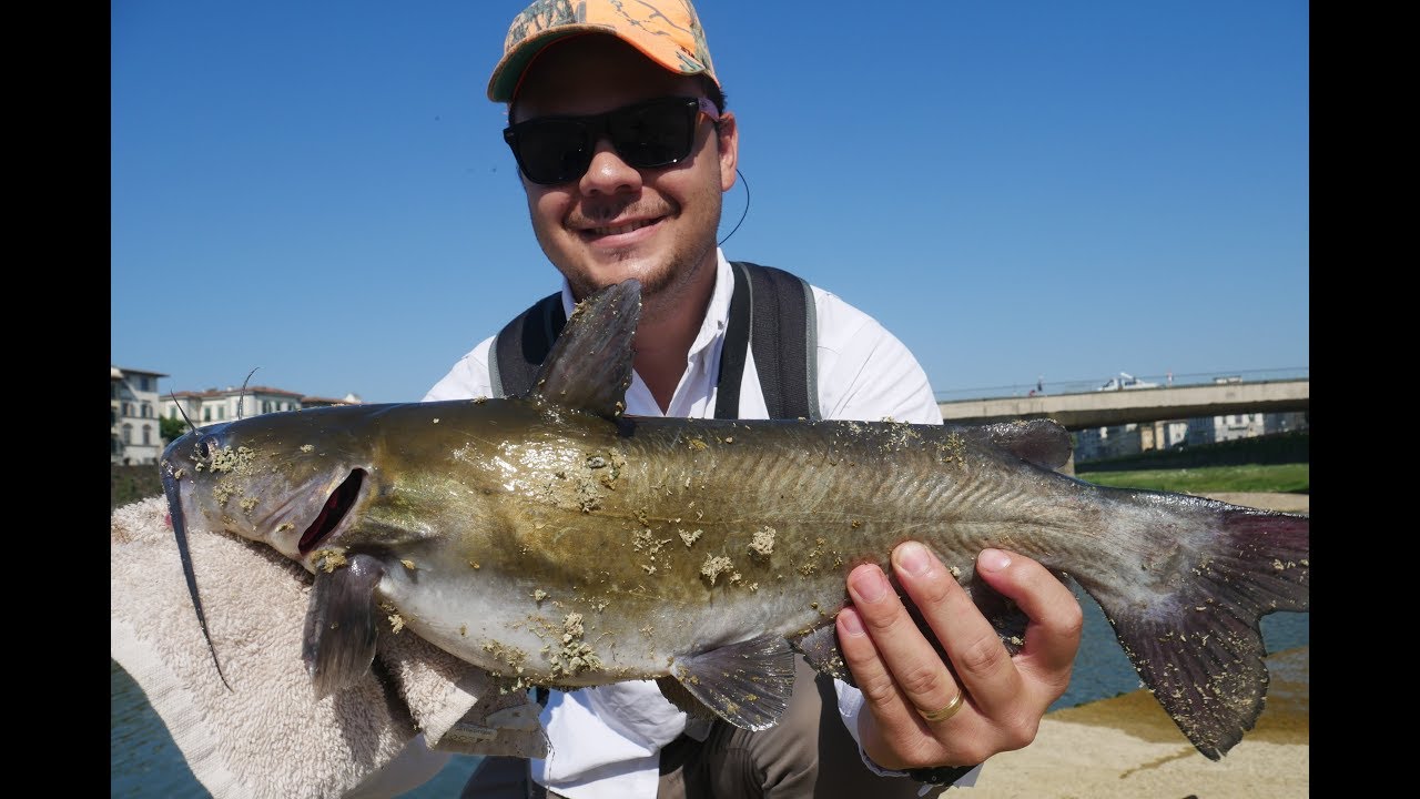 Florence, Italy Fishing/ Ep. 3
