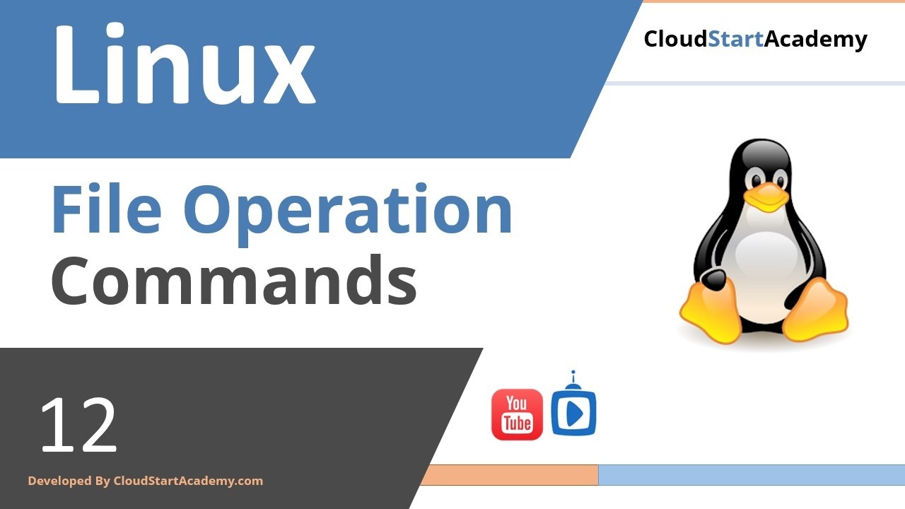 Linux File Operations Mastery: mkdir, touch, cp, mv, rm