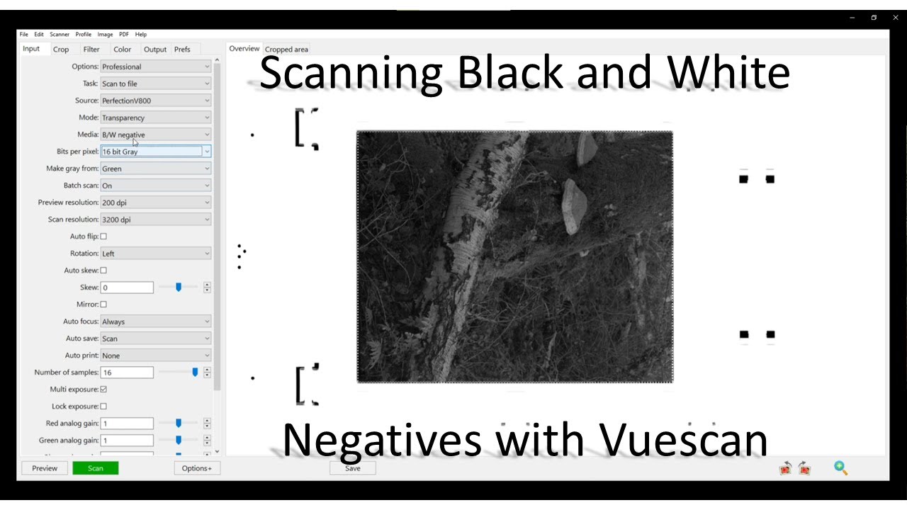 Scanning B+W Negatives with Vuescan