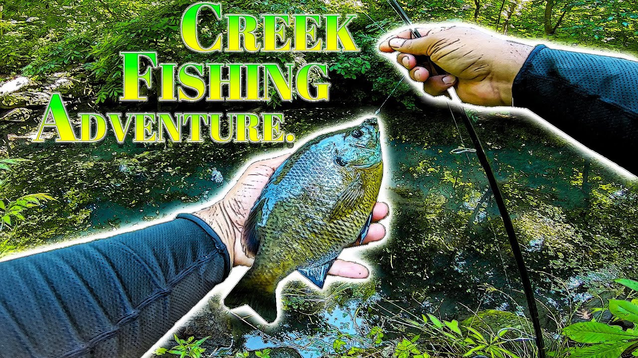 CREEK FISHING ADVENTURE - 