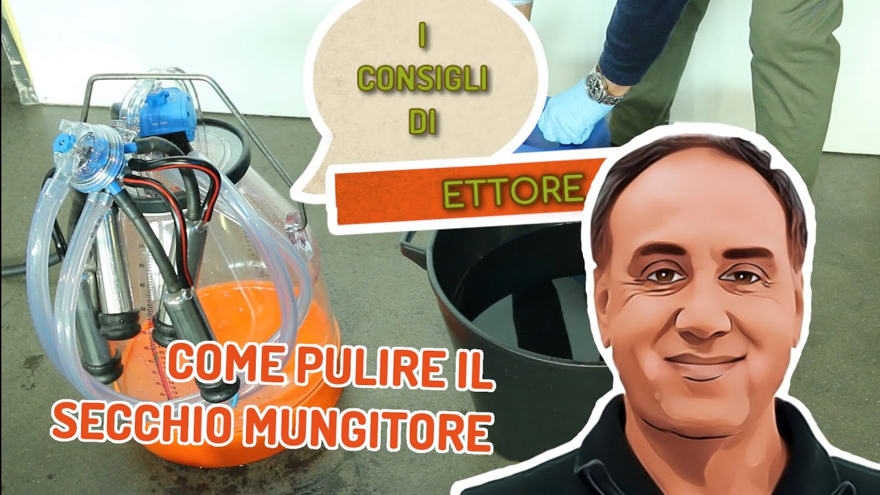 SECCHIO MUNGITORE: Come lavarlo alla perfezione | I consigli di Ettore ep. 3