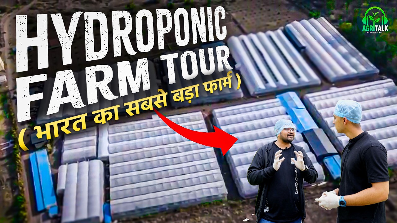 How This Hydroponic Farm in Pune Grows 42 Crop Varieties | Nutrifresh | AgriTalk