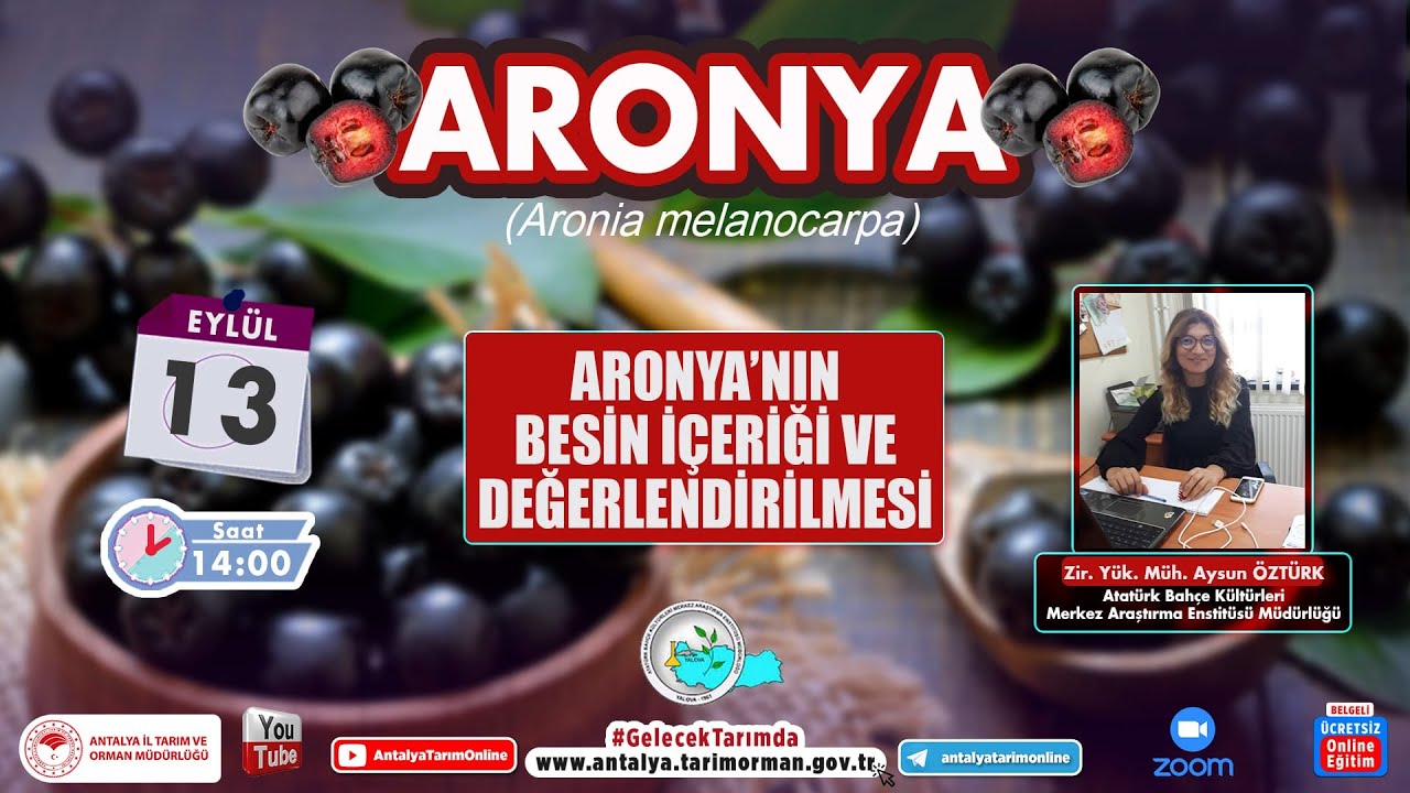 ARONYA-Aronya'nın Besin İçeriği ve değerlendirilmesi 2 Ziraat Yüksek Mühendisi Aysun ÖZTÜRK