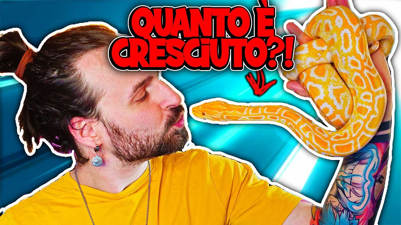 Come Stanno I MIEI ANIMALI? - Mattinate con Michele