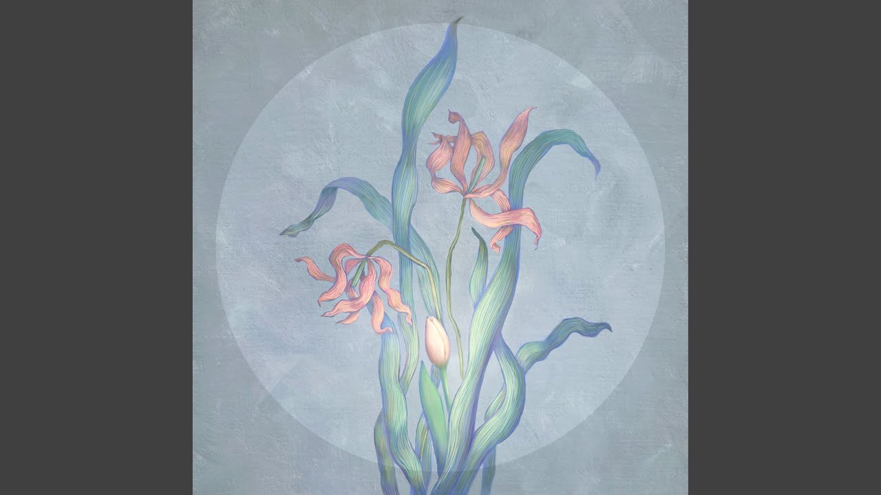 White night (백야)