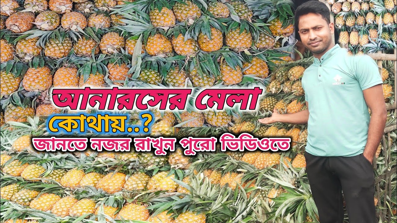 আনারসের🍍মেলা//Festival Of Pineapple🍍