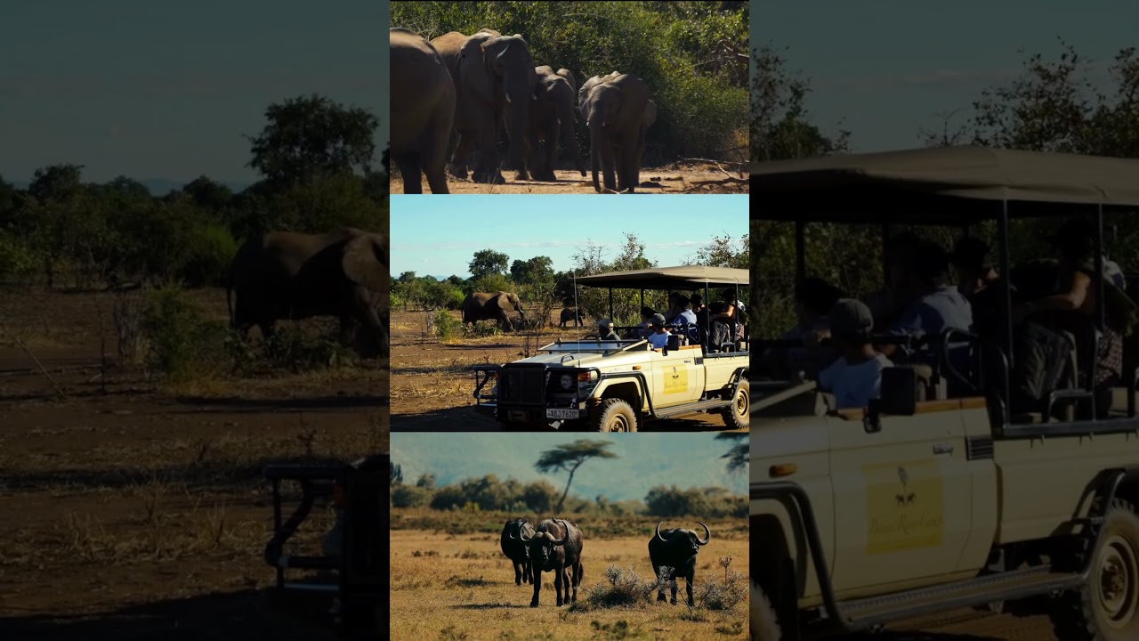 A Drive Through Baines&rsquo; River Camp | Lower Zambezi Safari Adventure