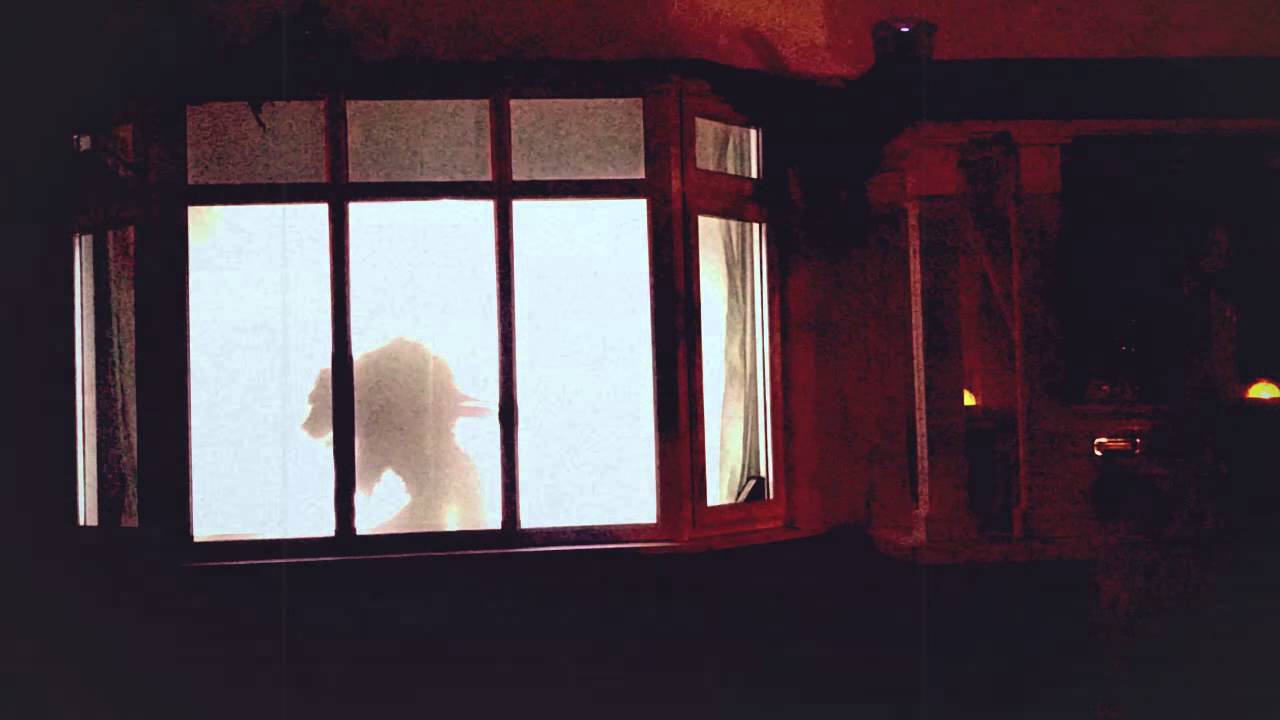 My Window at Halloween