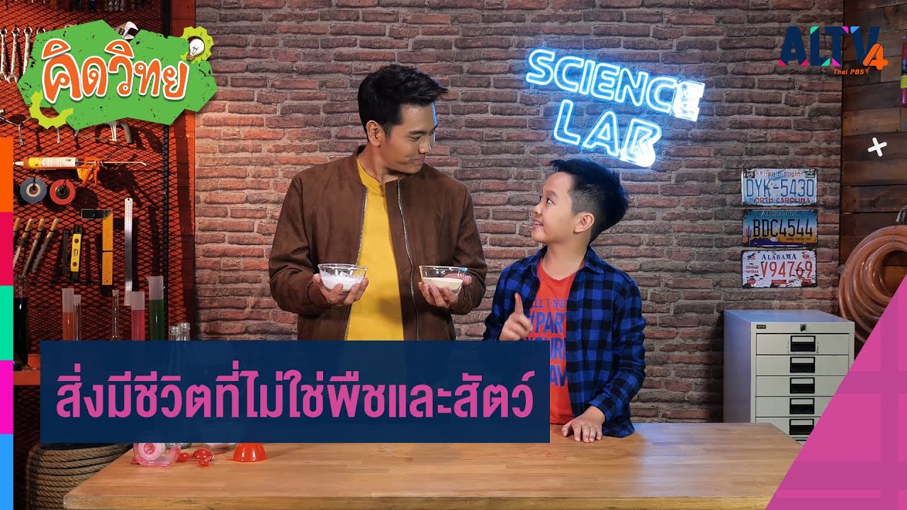 สิ่งมีชีวิตที่ไม่ใช่พืชและสัตว์ : คิดวิทย์ (6 ต.ค. 63)