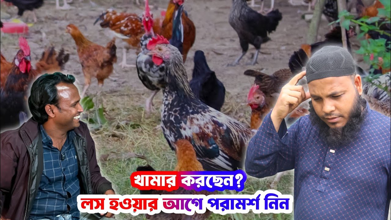 দেশি মুরগি পালনের পূর্ণাঙ্গ গাইড: খাবার, ভ্যাকসিন ও লাভজনক বিক্রয় পদ্ধতি | Deshi Murgi Palon Course