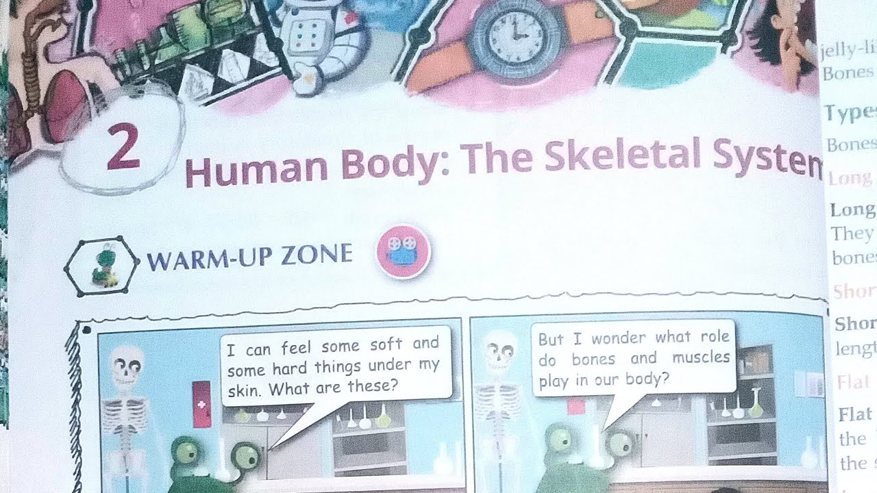 Chapter 2 Human Body : The Skeletal System Class 5 icse board | My Science Zone | Skeleton System
