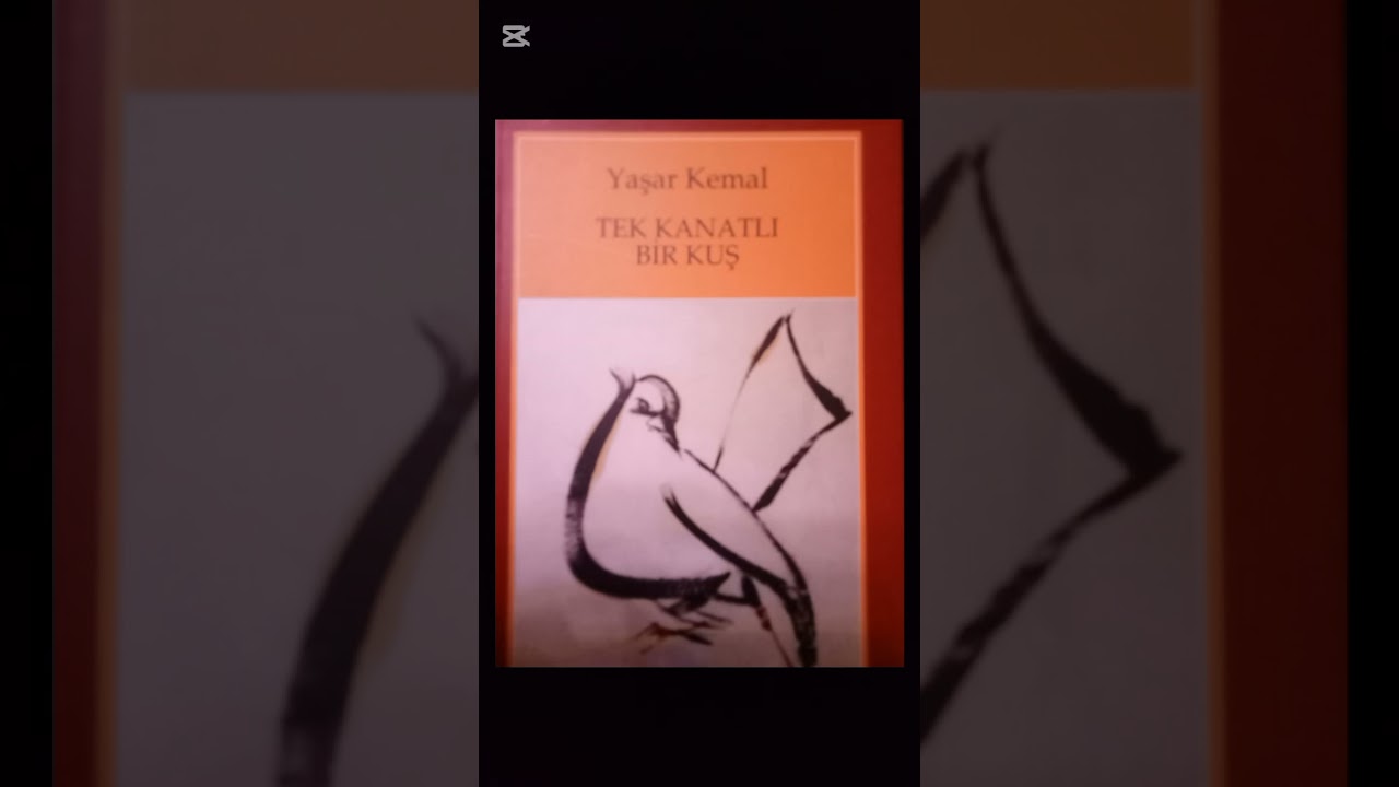 YAŞAR KEMAL- TEK KANATLI BİR KUŞ- 4. BÖLÜM- TURGAY AKPINAR'IN SESİNDEN 