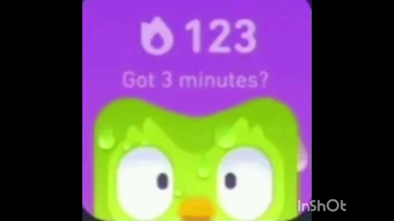 Duolingo widgets my become your streak 