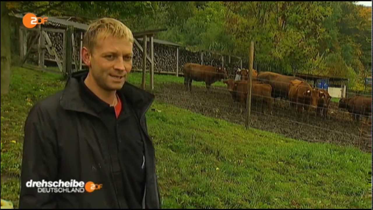 Rinderleasing Liebau ZDF Drehscheibe Deutschland