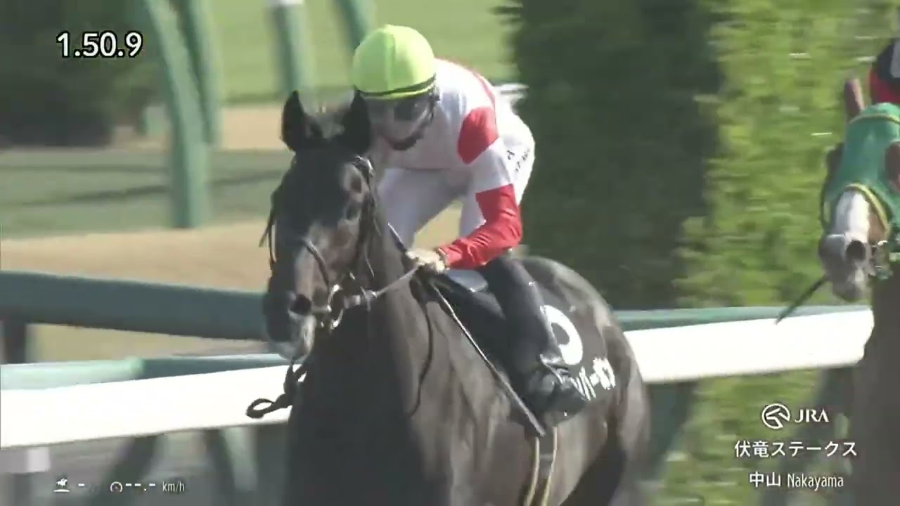 Danon Bourbon Wins The Fukuryu Stakes - 2026 Derby Prep - Nakayama Racecourse - 3/28/25
