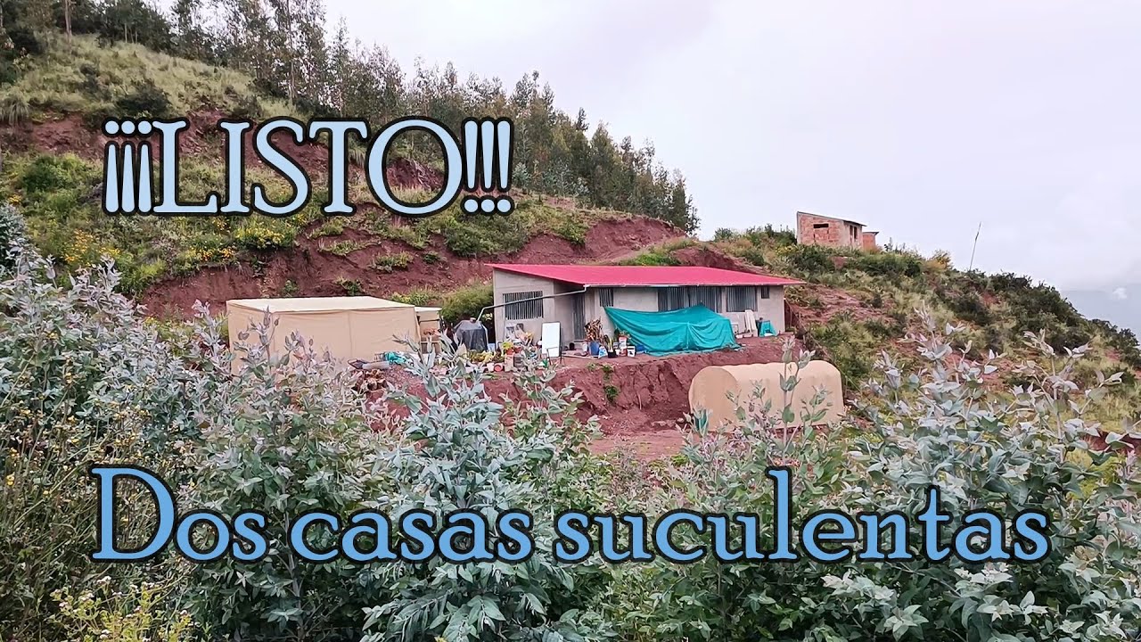 Concluimos la construcción de las 2 casas suculentas 