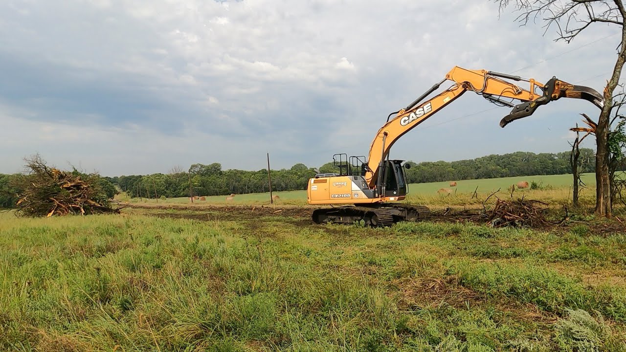 Fence line Clearing