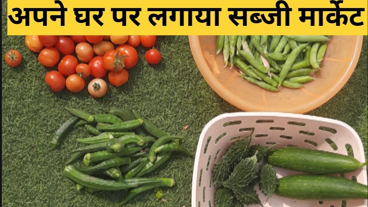 टैरेस सब्जी मार्केट से ली 100% ऑर्गेनिक सब्जियाँ।। #Organicfood #organicvegetables #organicharvest 