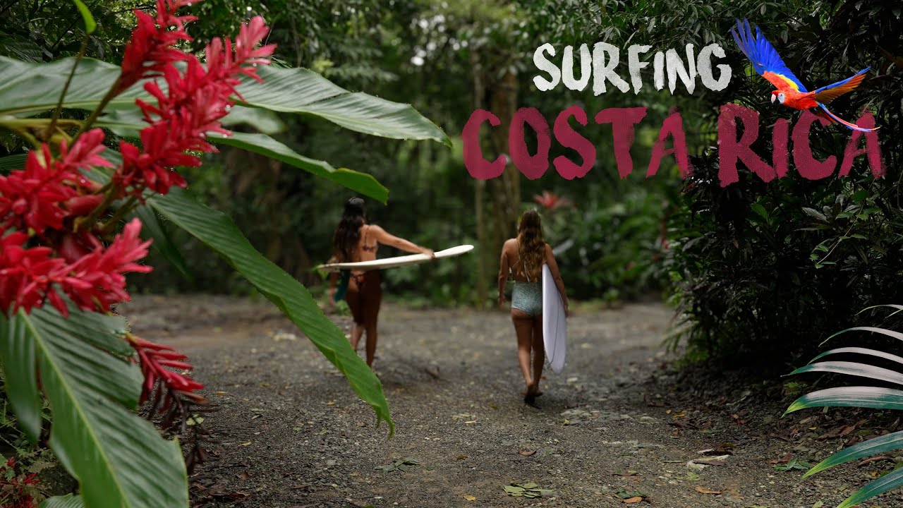 a longboard paradise in Costa Rica's wilderness 🦥🌊